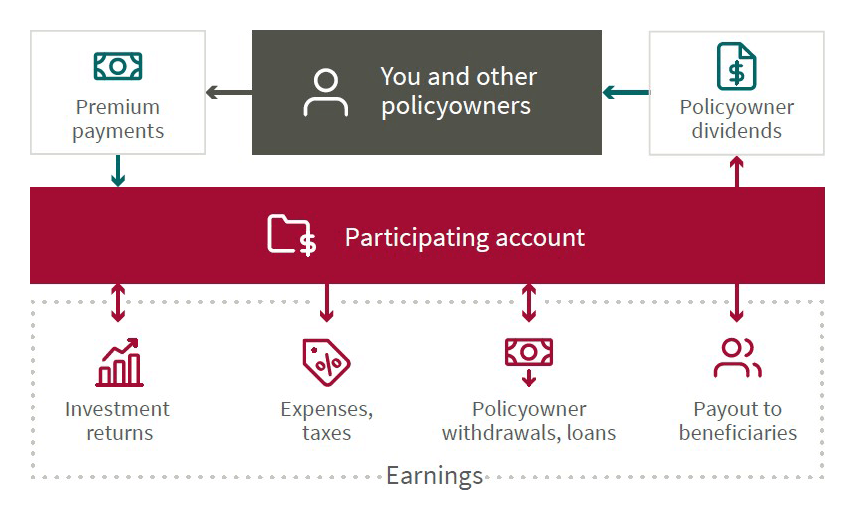 Insurance participating account infographic